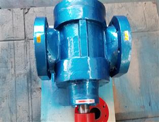 LB型冷凍機(jī)專(zhuān)用泵