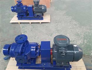 江蘇雙螺桿泵