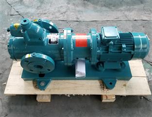 江蘇SNH磁力螺桿泵