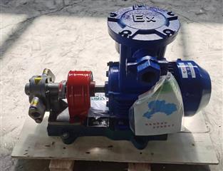 KCB不銹鋼齒輪油泵-3不銹鋼齒輪泵