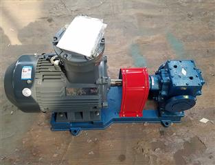 BW18保溫齒輪泵-保溫齒輪泵