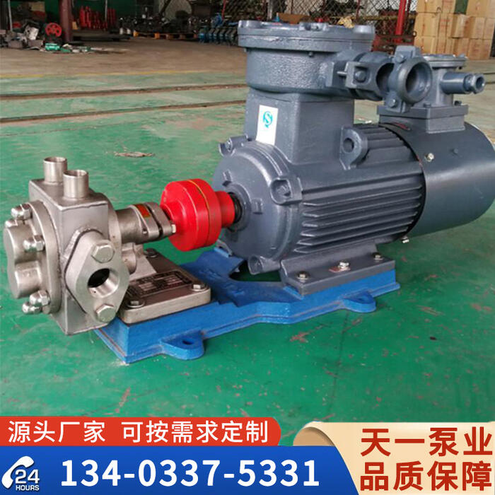 不銹鋼齒輪泵